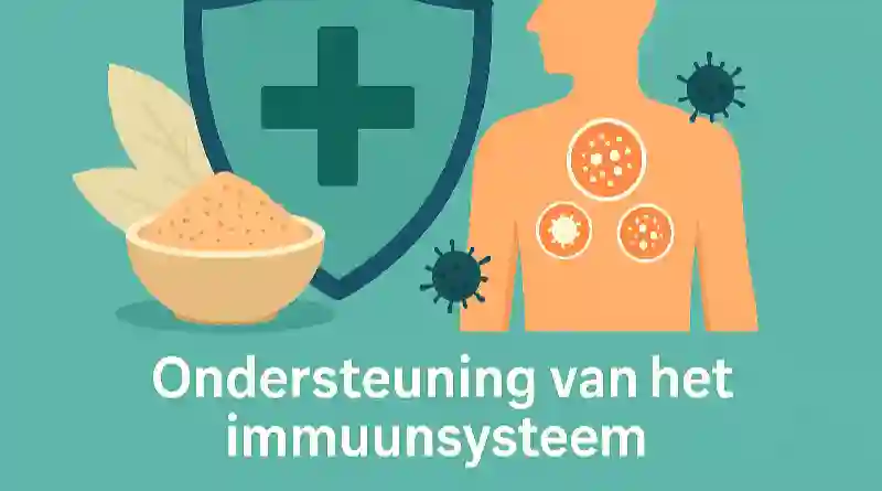 ondersteuning van het
